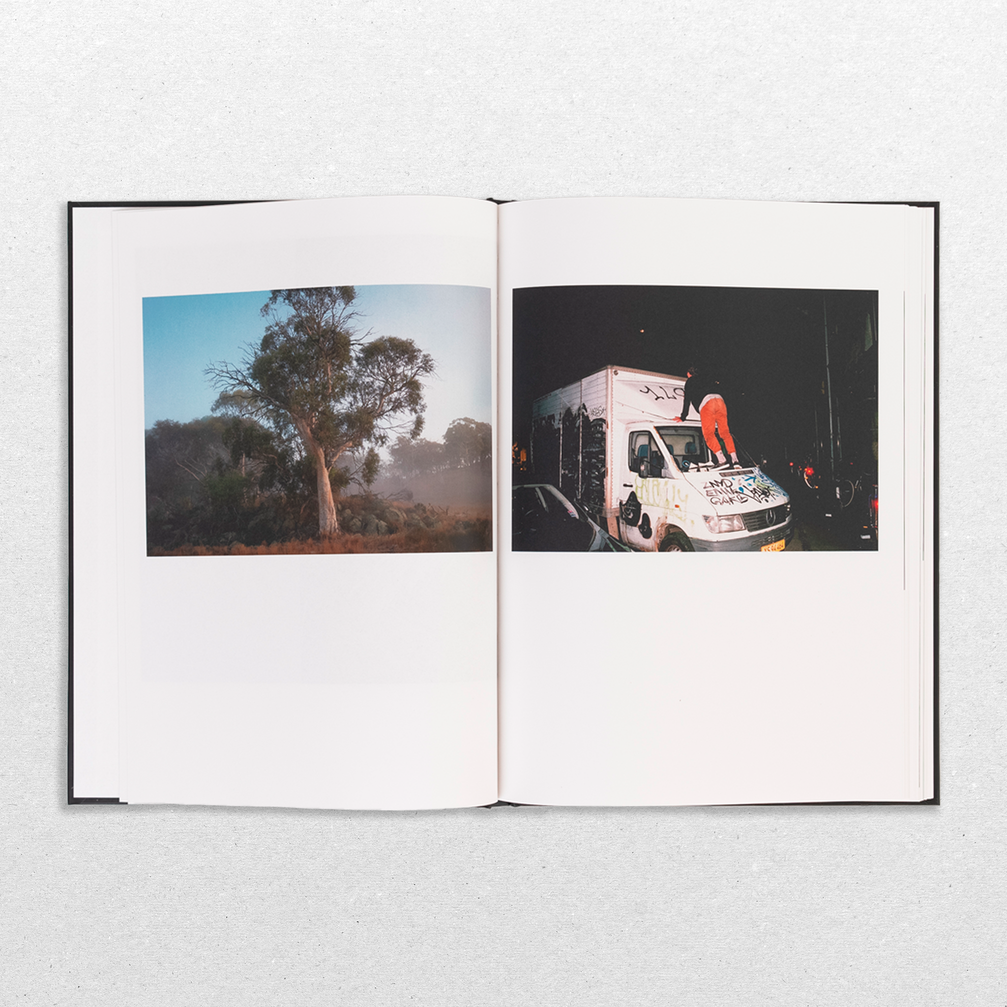 GEMINI by Dane Faurschou