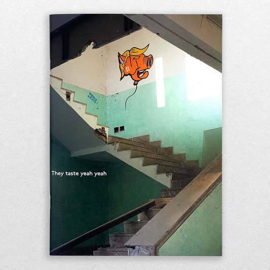 They Taste Yeah Yeah Zine by Teach