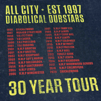 ZONK - AC DDS - 30 YEAR TOUR - T-SHIRT